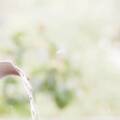 Saving water: useful tips for a green life